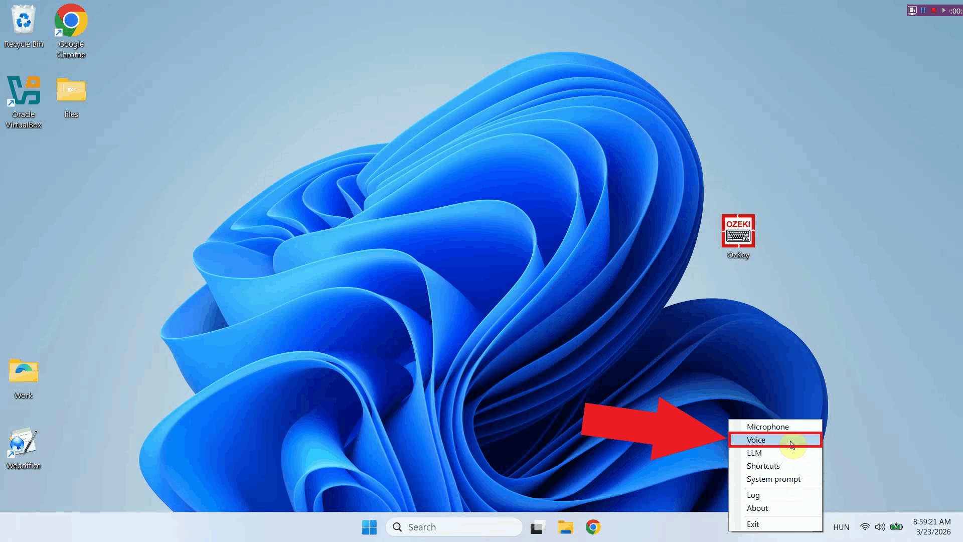 Open Voice model settings from context menu