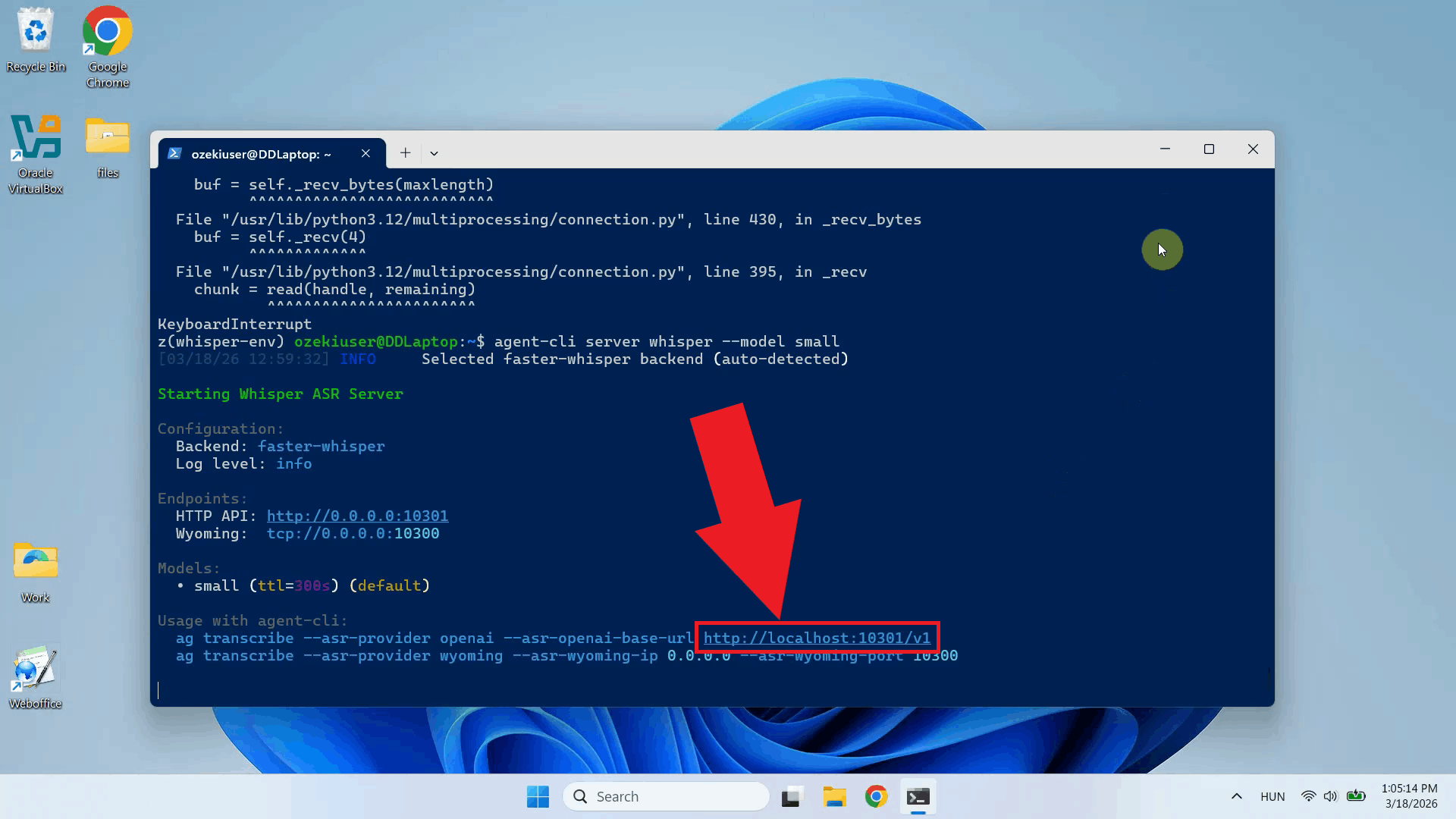 Copy API URL from terminal