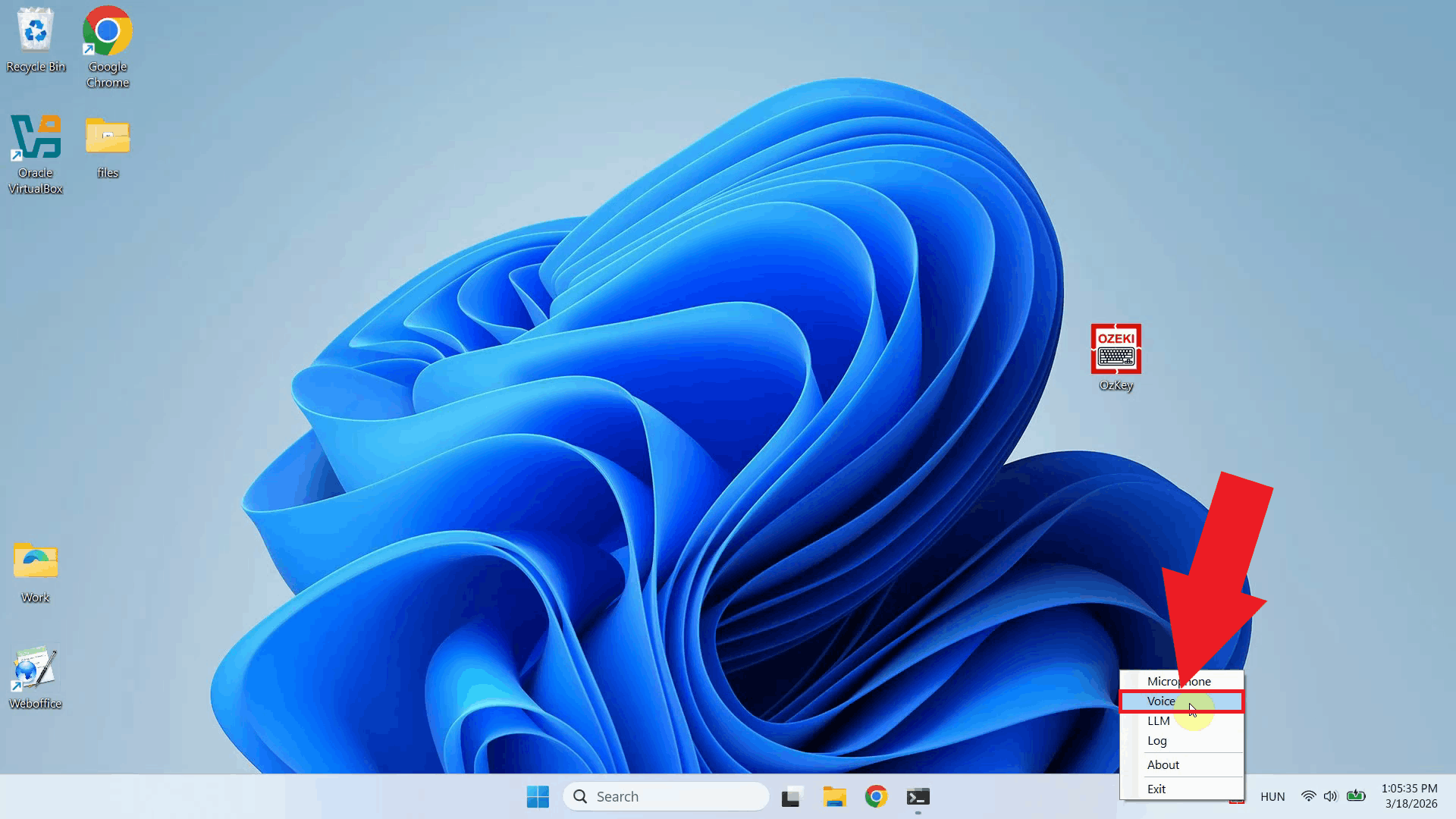 Open Voice settings from context menu