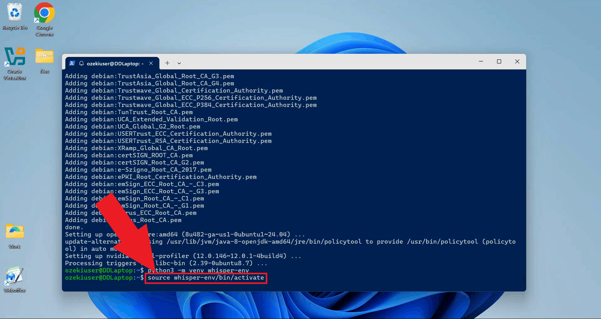 Activate Python environment