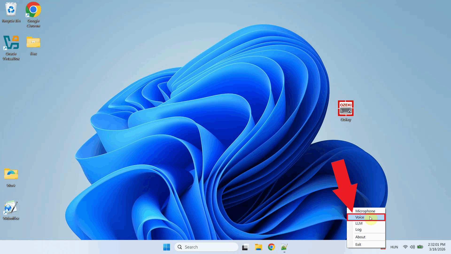 Open Voice settings from context menu
