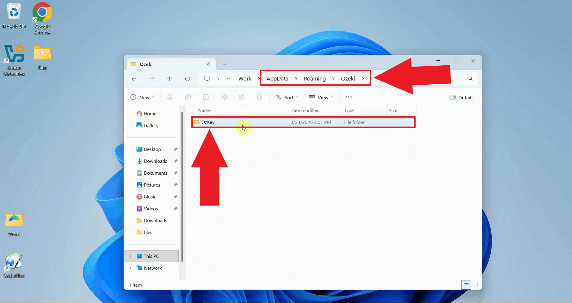 Locate OzKey folder in AppData Roaming