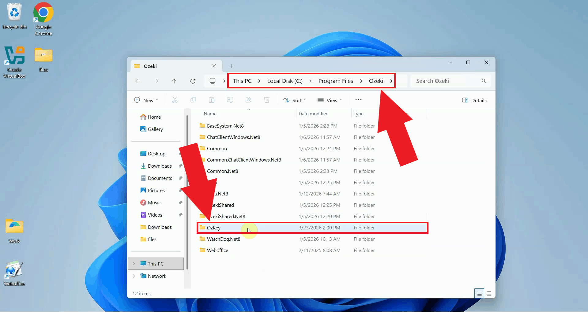 Search OzKey in Program Files