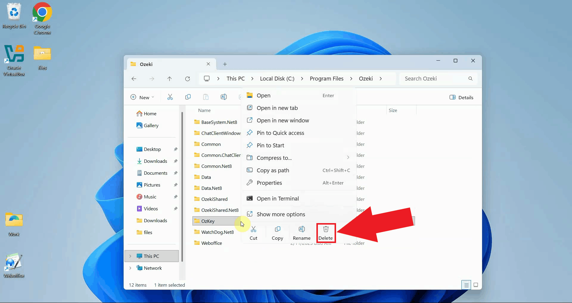 Delete OzKey from Program Files