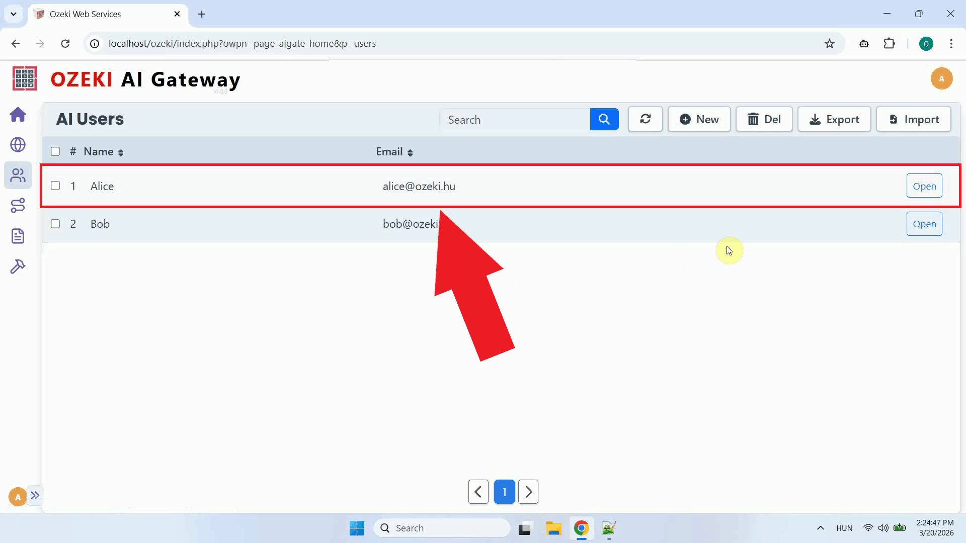 User in Ozeki AI Gateway