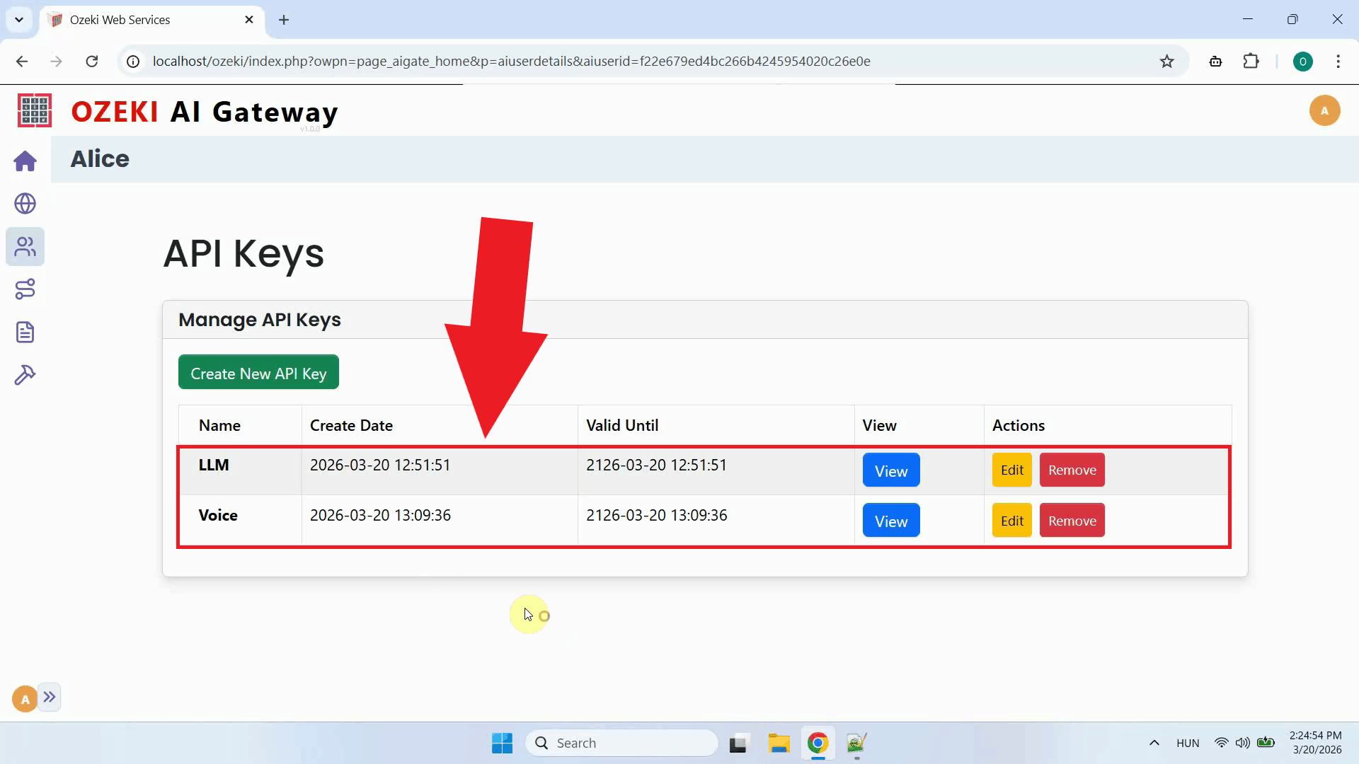 API keys for the user