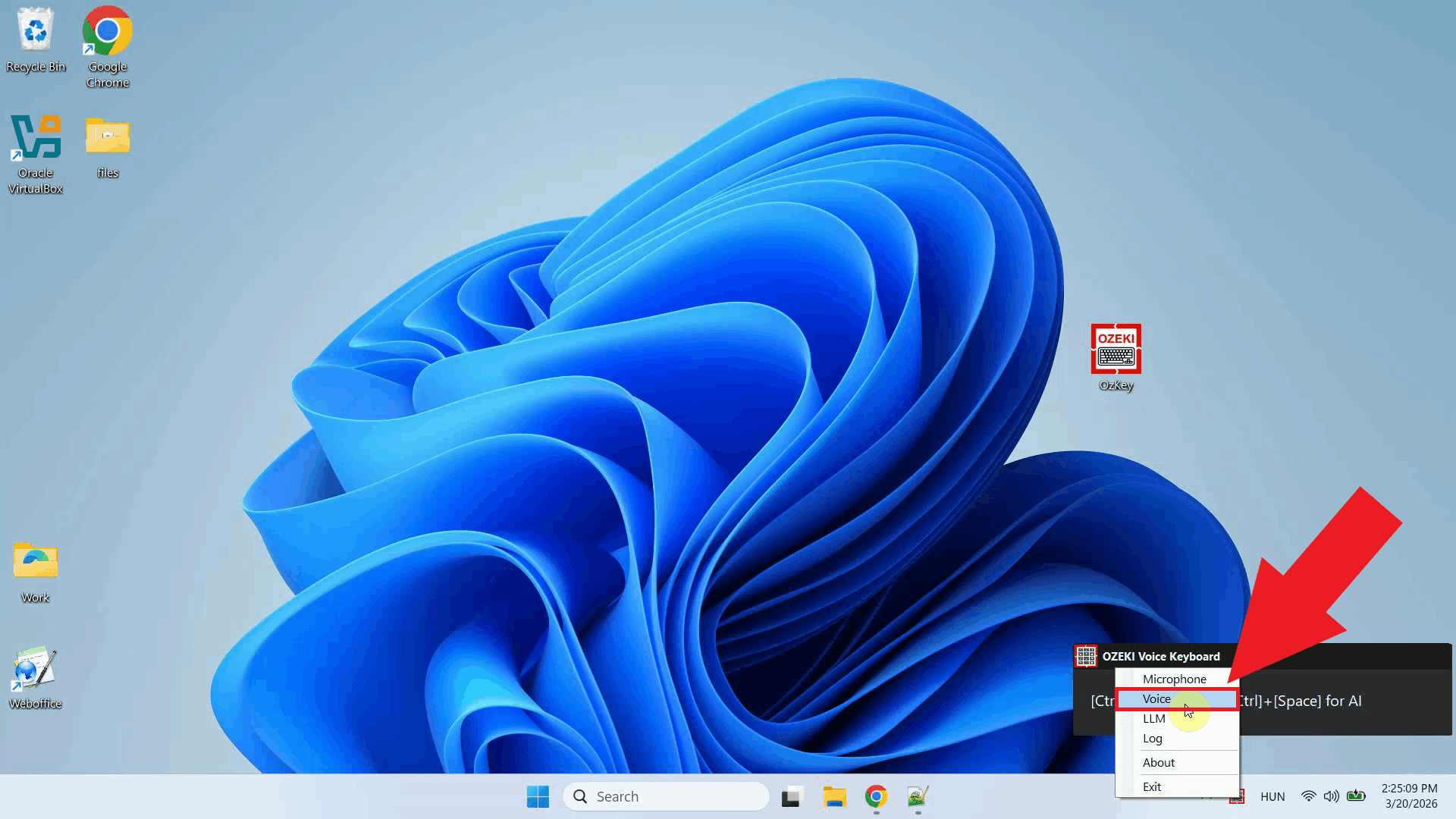 Open Voice settings from context menu