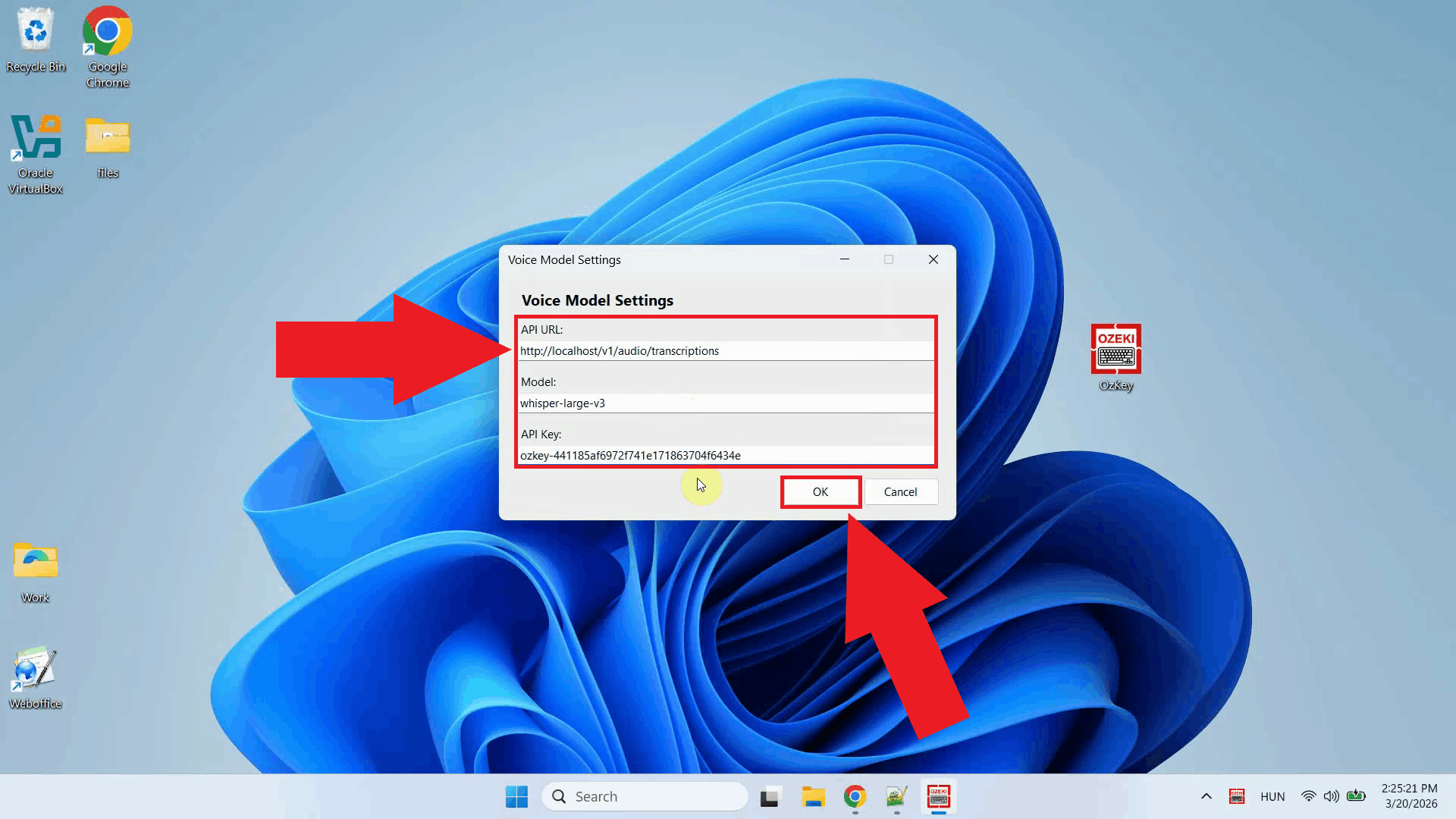 Enter Voice API URL, model and key