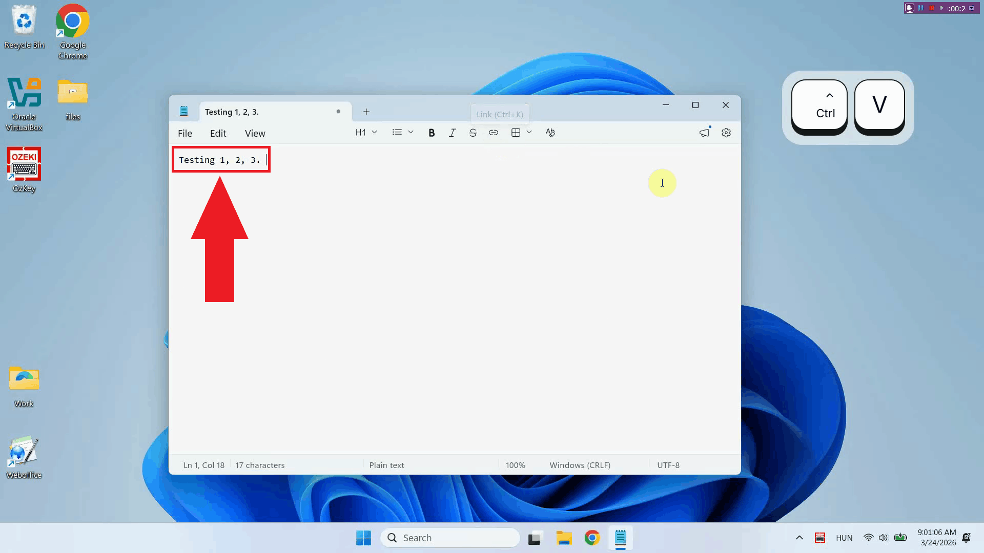 Transcription pasted in text editor